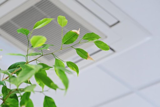 Ways to Improve the Indoor Air Quality of Your Home