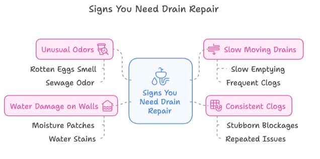 signs you need drain repair
