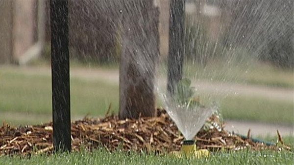 How to Lower Your Home’s Water Usage This Summer