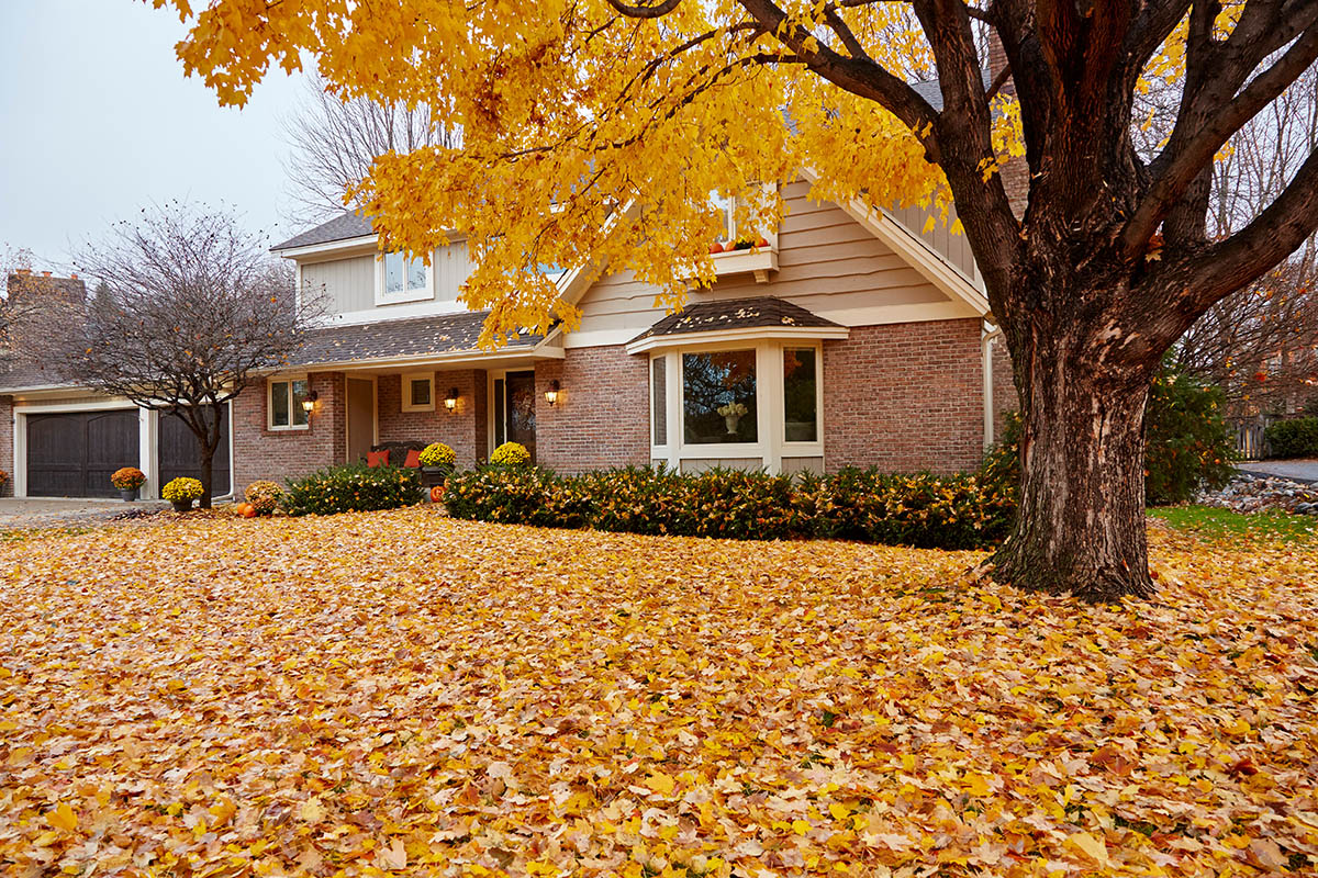 A Fall Maintenance Checklist for Your Kansas City HVAC Unit